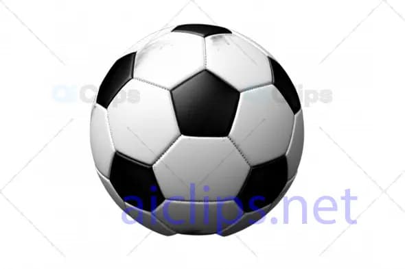 3D Black and White Soccer Ball with Authentic Texture