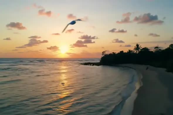 Tranquil Tropical Sunset Beach