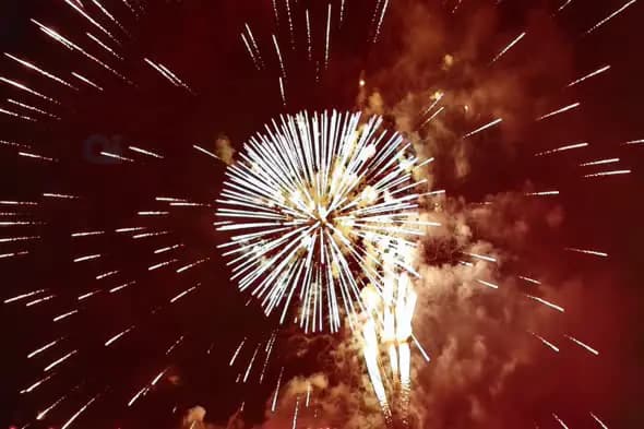 Vibrant Fireworks Exploding in Night Sky