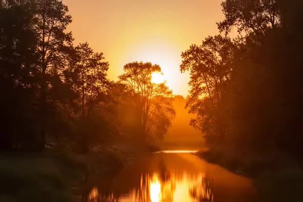 Tranquil River Sunset Illuminates Golden Forest Reflections