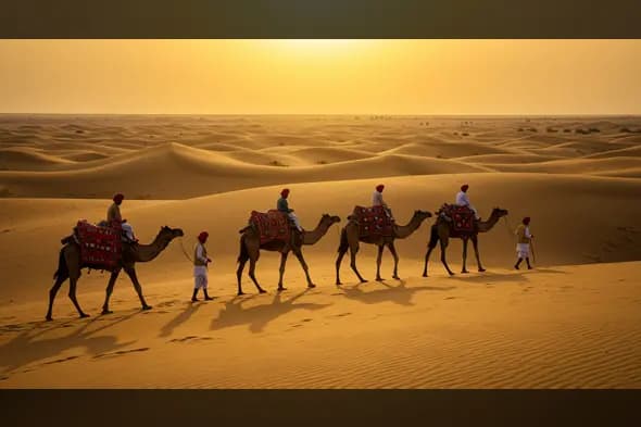 Camel Caravan Crossing the Thar Desert at Sunset in Rajasthan