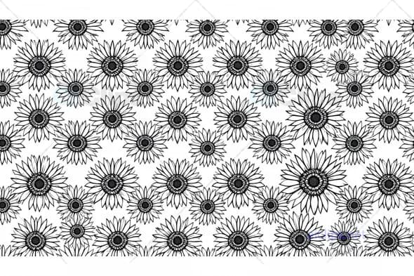 Black and White Sunflower Pattern