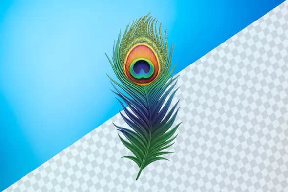 Vibrant peacock feather with iridescent eye design
