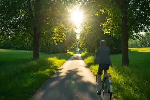 Serene Cycling Path at Sunset