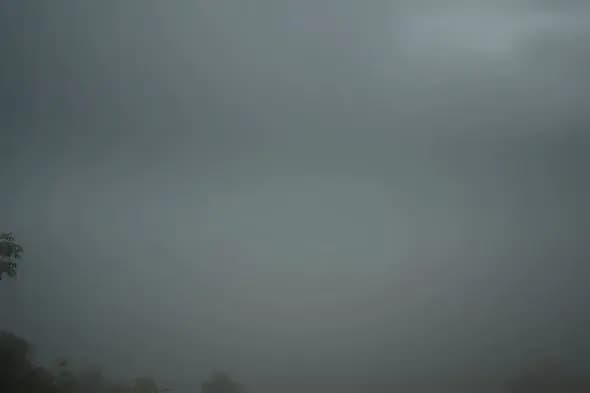 Atmospheric Foggy Landscape Shrouded in Misty Gloom
