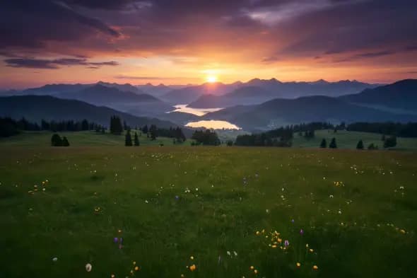Majestic Mountain Sunrise Illuminates Wildflower Meadow Landscape