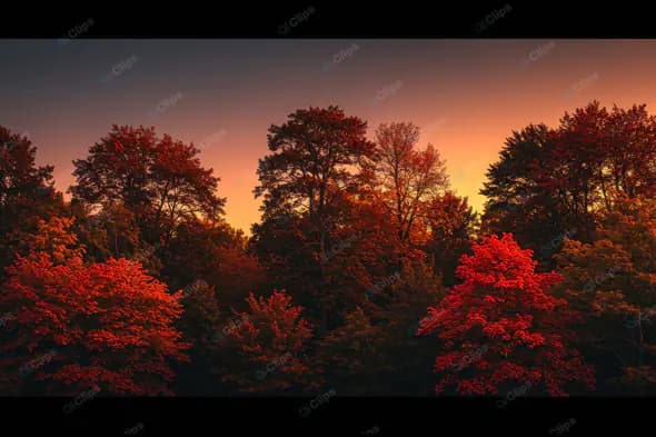 Fiery Autumn Twilight