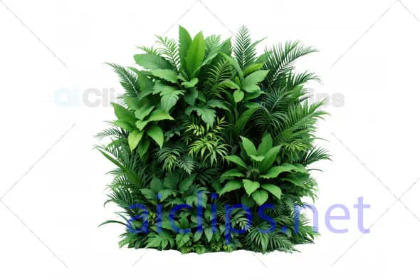 3D Lush Tropical Foliage Pack
