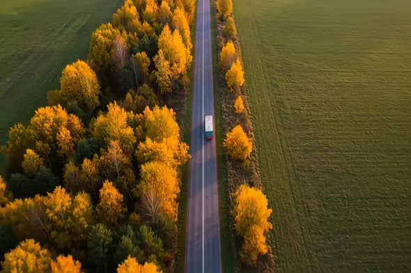 Autumn Highway Through Golden Forest