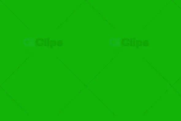 Green Screen Solid Background
