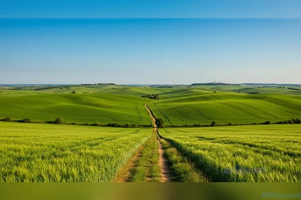 Scenic Green Rolling Hills with Clear Blue Sky
