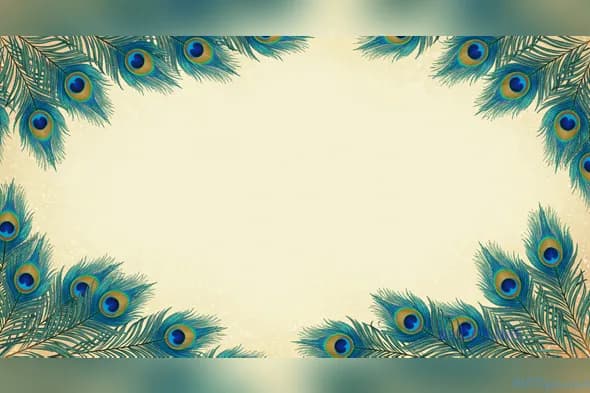 Elegant Peacock Feather Background for Professional Use