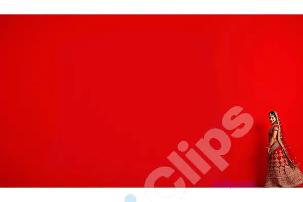 Indian Bride in Red Saree on Minimalist Red Background