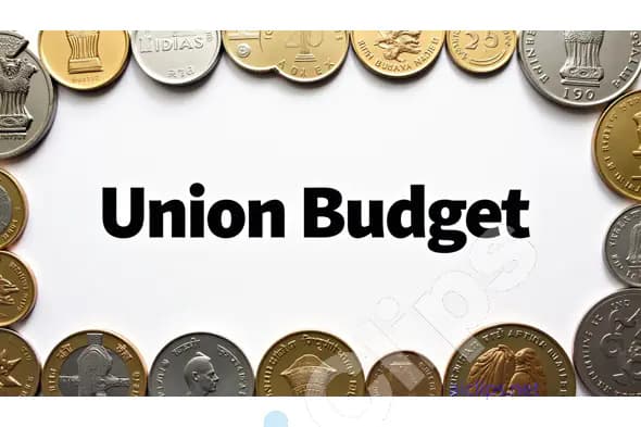 Union Budget with Indian Coins