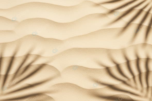 Desert Sand Dunes with Palm Leaf Shadows