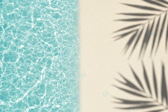 Sunny Beach with Palm Shadows and Clear Blue Water