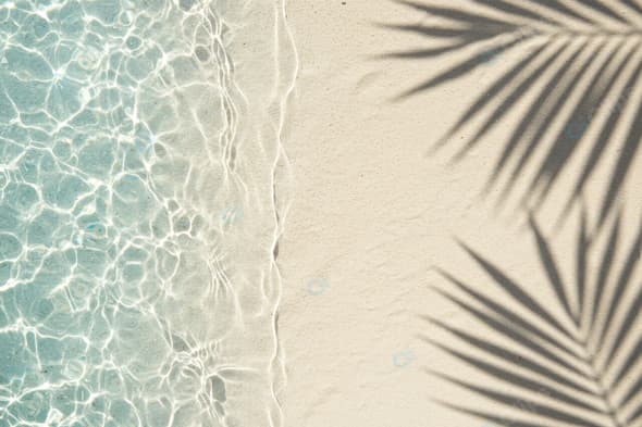 Sunny Beach with Palm Leaf Shadows and Clear Water