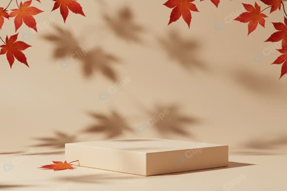 Autumn Maple Leaves with Shadow and Beige Podium Display