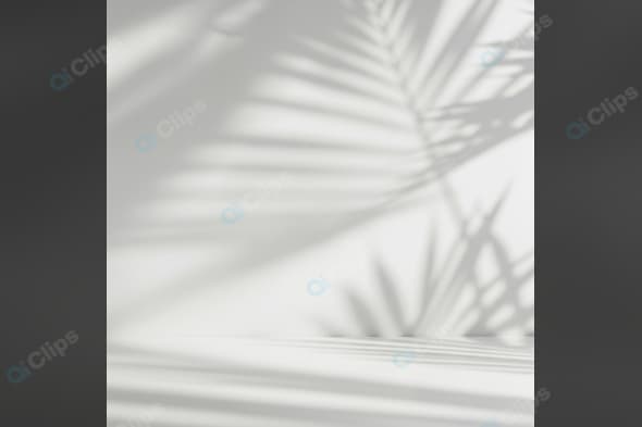 Palm Leaf Shadow Patterns on White Background