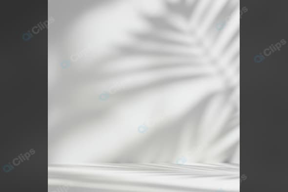 Shadow of Leaves on White Background