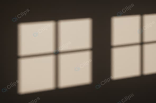 Soft Window Light Casting Shadows on Wall