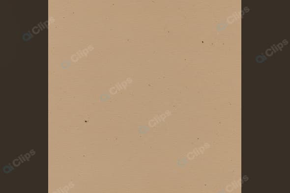 Beige Texture Close-Up