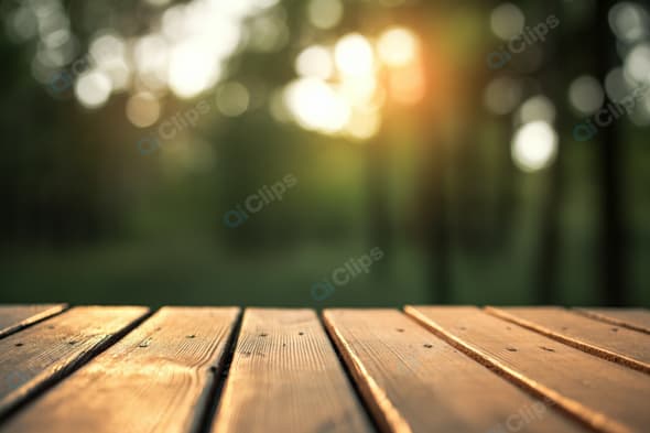 Sunlit Wooden Table in Forest Setting