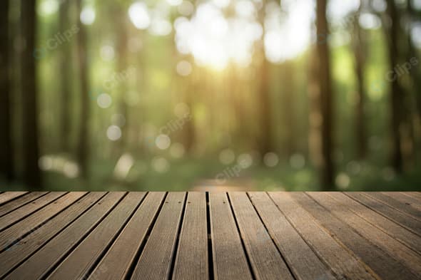 Wooden Deck Overlooking a Sunlit Forest Scene
