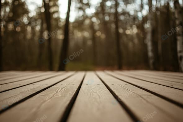 Wooden Deck in Serene Forest Setting