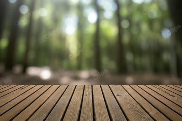 Wooden Deck Overlooking Blurred Forest Background