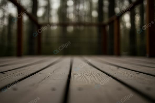Wooden Deck in Forest Setting