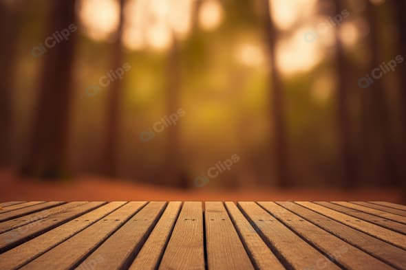 Wooden Deck in Tranquil Autumn Forest