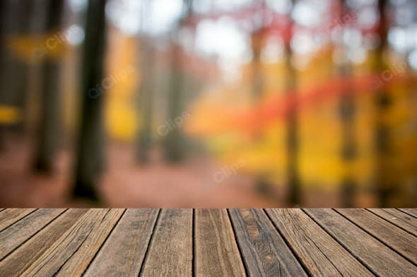 Autumn Forest with a Wooden Deck in the Background

