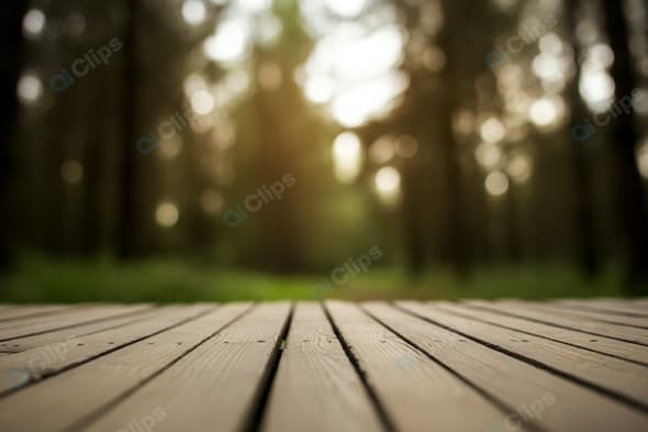 Wooden Deck with Forest Background in Golden Light