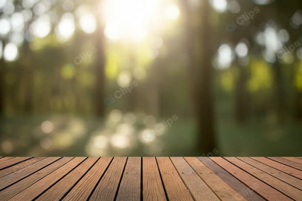 Wooden Deck Overlooking Sunlit Forest Background