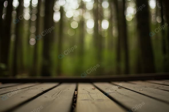 Blurred Forest Pathway with Wooden Deck