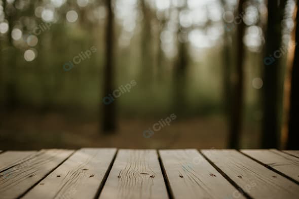 Wooden Deck in Tranquil Forest Setting