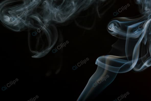 Enigmatic Swirling Smoke on a Black Background
