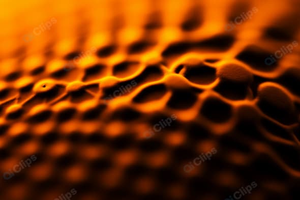Organic Texture with Warm Lighting in Abstract Close-Up