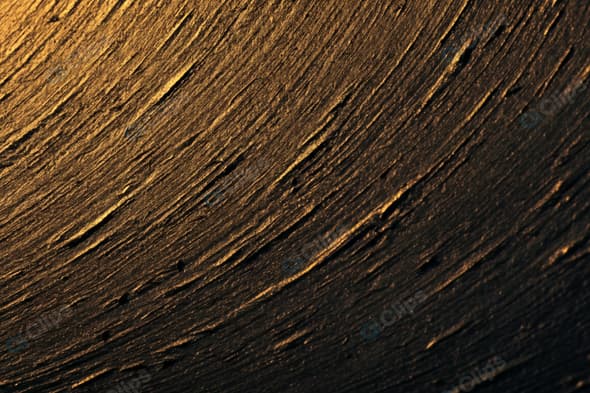 Golden Light on Textured Wood Surface