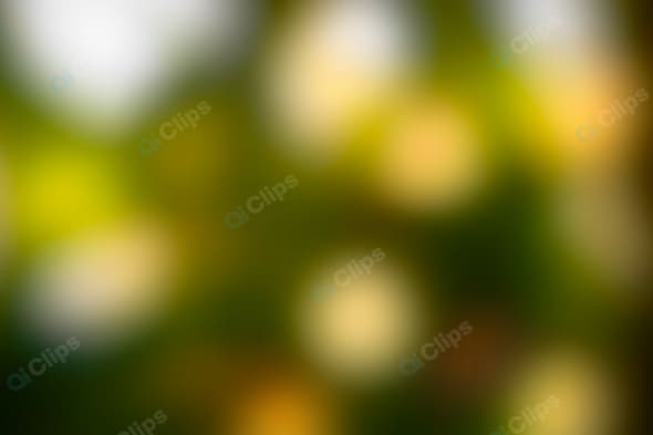 Blurry Nature Background with Light Bokeh Effects