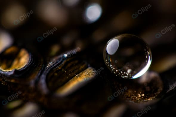 Macro Shot of Water Droplet on Textured Surface