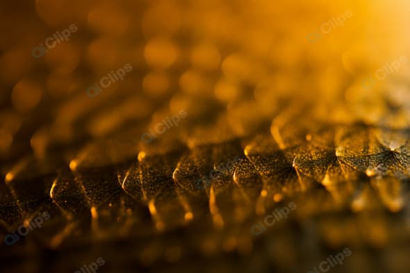 Golden Macro Close-Up of Textured Surface