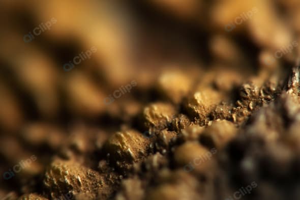 Macro Close-Up of Textured Surface