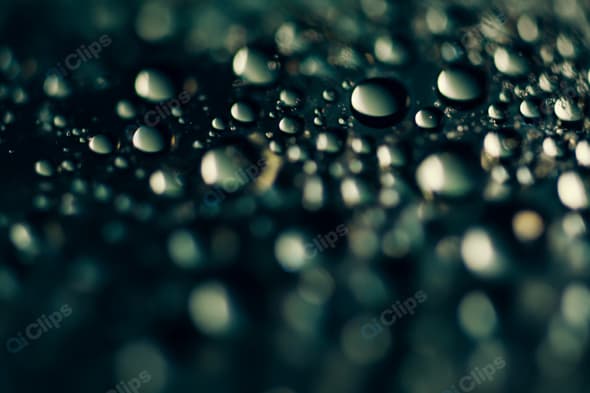Macro Shot of Water Droplets on Dark Surface