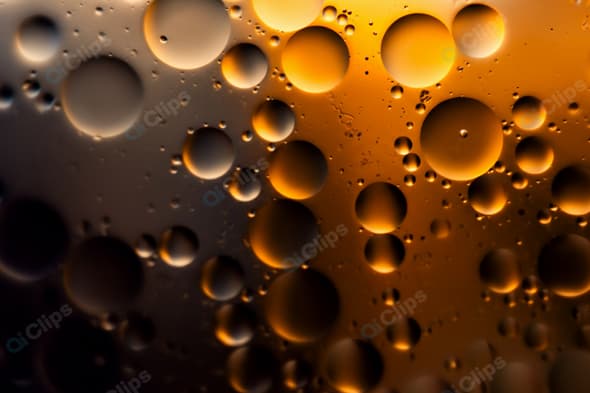 Oil and Water Bubbles Abstract in Warm Light