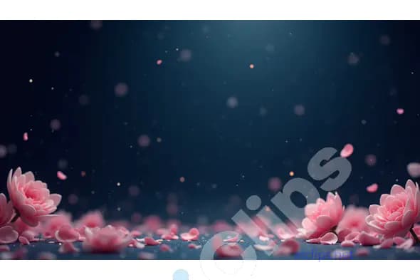 Soft Pink Flowers and Petals on Dark Background