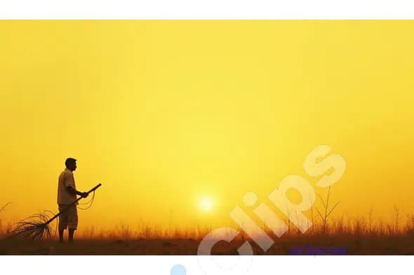 Indian Farmer at Sunrise with Traditional Tool