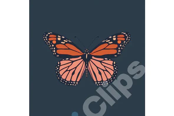 Monarch Butterfly Illustration