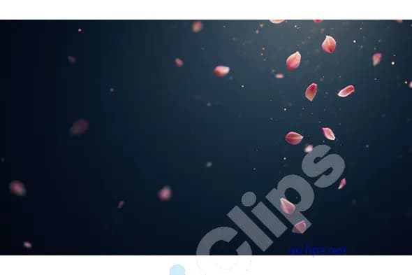 Falling Petals on Dark Background